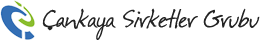 cankaya-css-logo